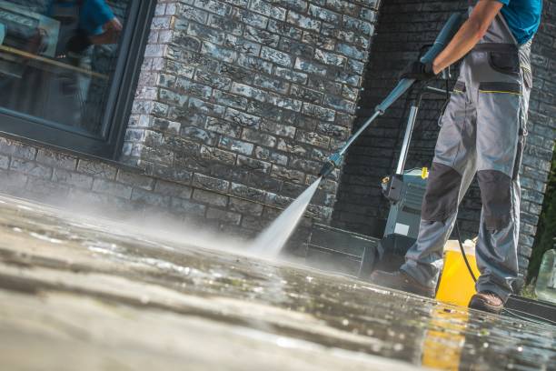 Best Solar Panel Cleaning  in Fayette, LA